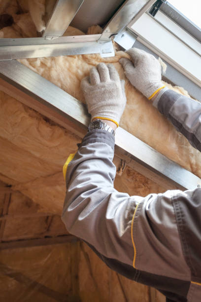 Best Insulation Removal  in Ingalls Park, IL