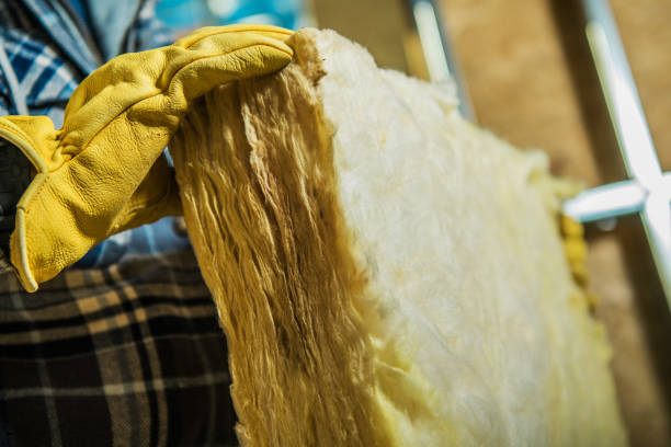 Best Insulation Replacement Services  in Ingalls Park, IL