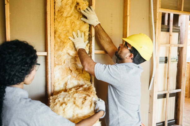 Best Residential Insulation Services  in Ingalls Park, IL