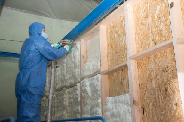 Best Fiberglass Insulation  in Ingalls Park, IL