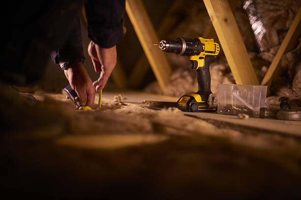 Best Insulation Removal  in Ingalls Park, IL