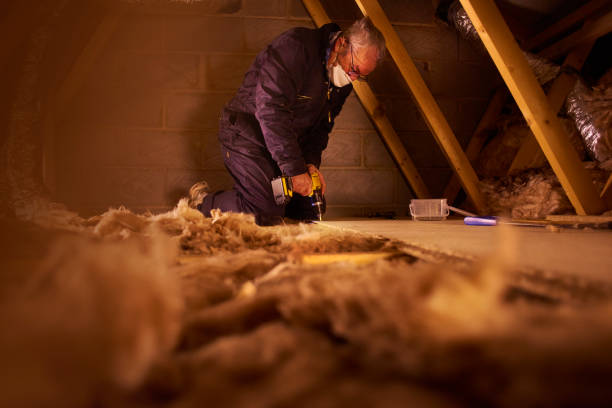 Best Wall Insulation Contractor  in Ingalls Park, IL