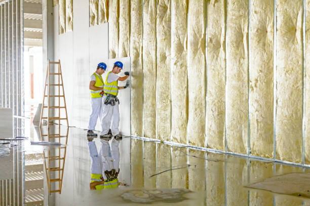 Best Insulation Inspection Services  in Ingalls Park, IL